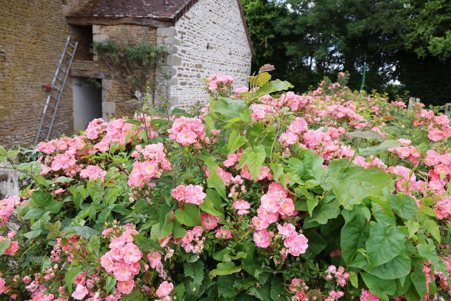 Chambre D'Hote Courtoux Saint-Denis-sur-Sarthon 外观 照片